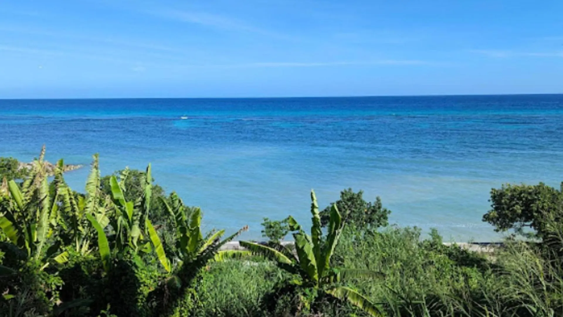 شقة Oceanview Apt - Montego Bay Ja Pool Bar Beach جامايكا